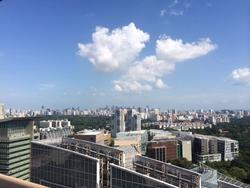The Rochester Residences (D5), Apartment #123975122